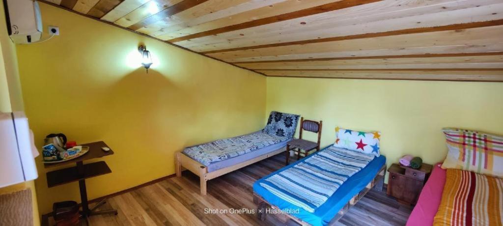 Hostel Horgos Centar ภายนอก รูปภาพ